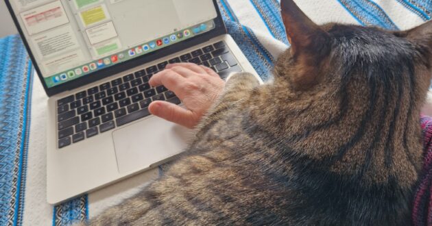 Cat sitting across the table while I work on a laptop at home.
