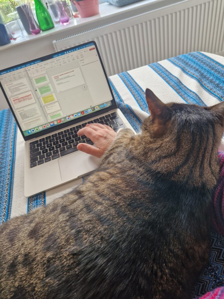 Cat sitting across the table while I work on a laptop at home.